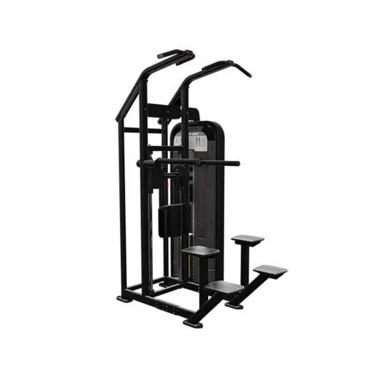 Nautilus Impact Chin Dip Assist Sort fra Nautilus