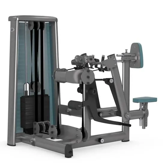 gym80 Sygnum Dual Seated Row