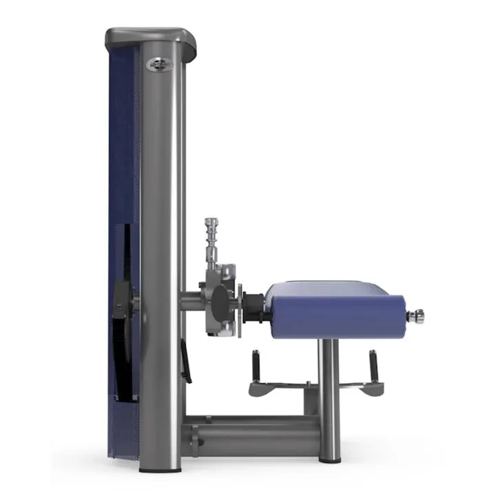 gym80 Sygnum Lying Leg Curl fra gym80