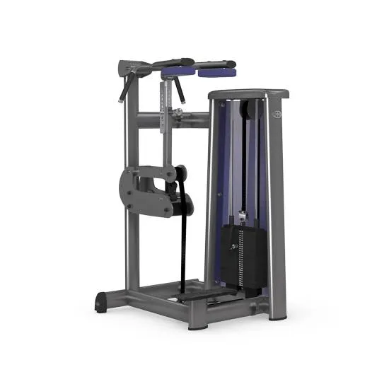  gym80 Sygnum Standing Calf Raises