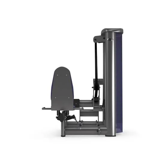 gym80 Sygnum Seated Calf fra gym80